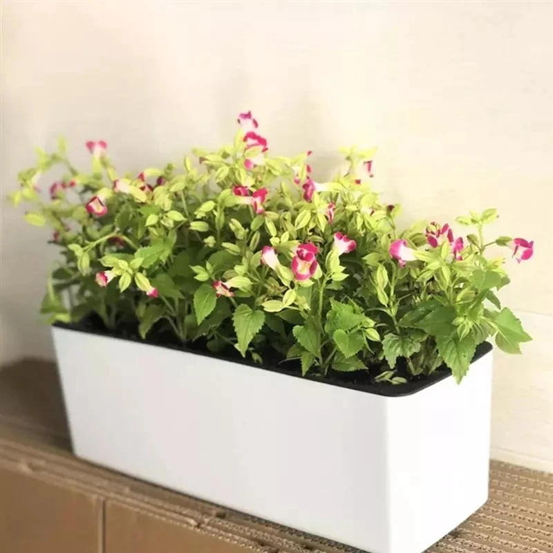 Automatic Plant Waterer - 長方形怠惰な植木鉢鉢植え水耕プラスチック植木鉢 + 水位インジケーター自動吸水植木鉢
