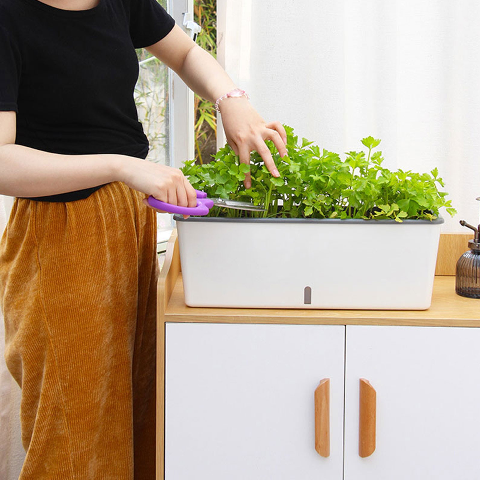 自動給水プランターポット 便利な水位インジケーター付き 友人 - Self-Watering Planter のレビューと価格