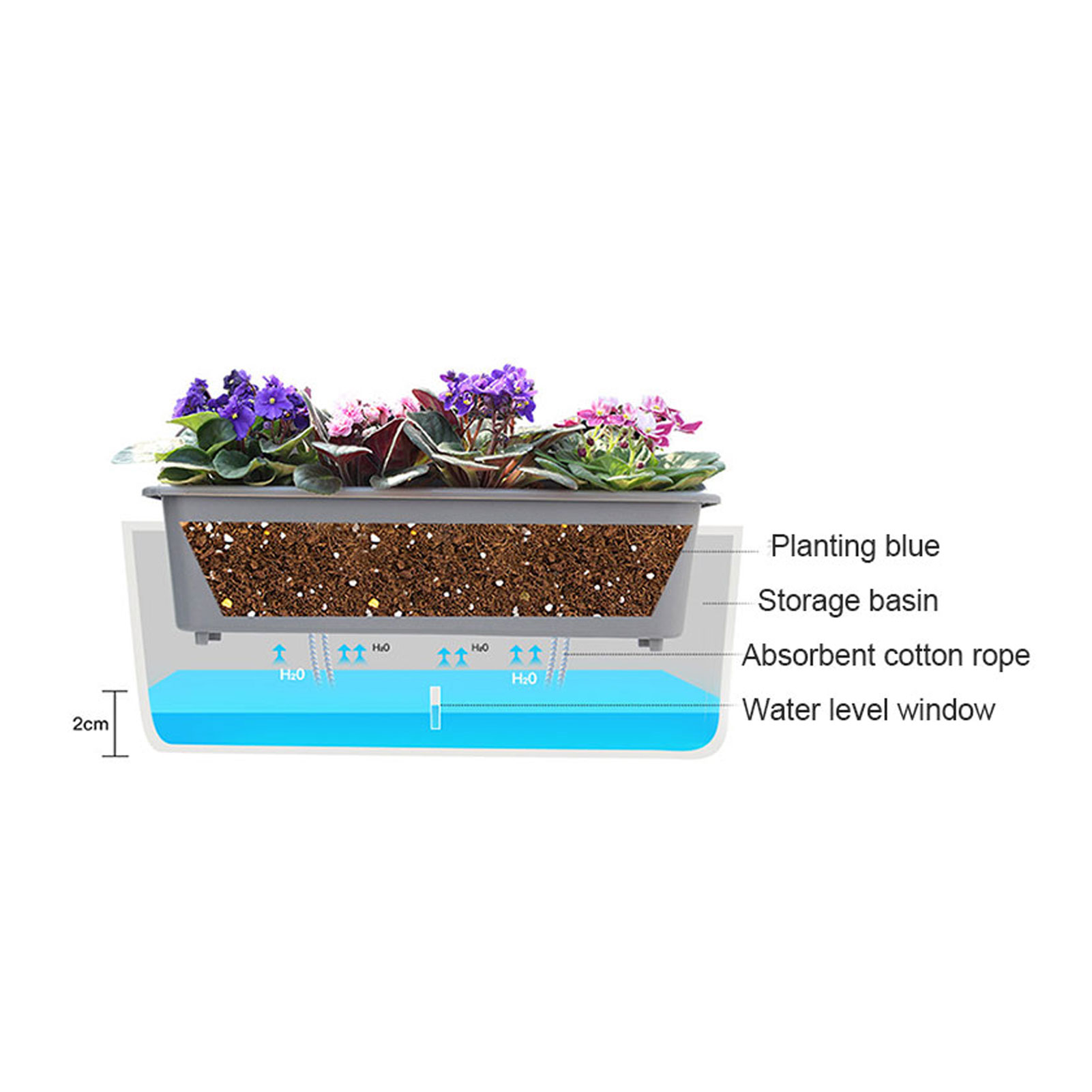 自動給水プランターポット 便利な水位インジケーター付き 友人 - Self-Watering Planter のレビューと価格