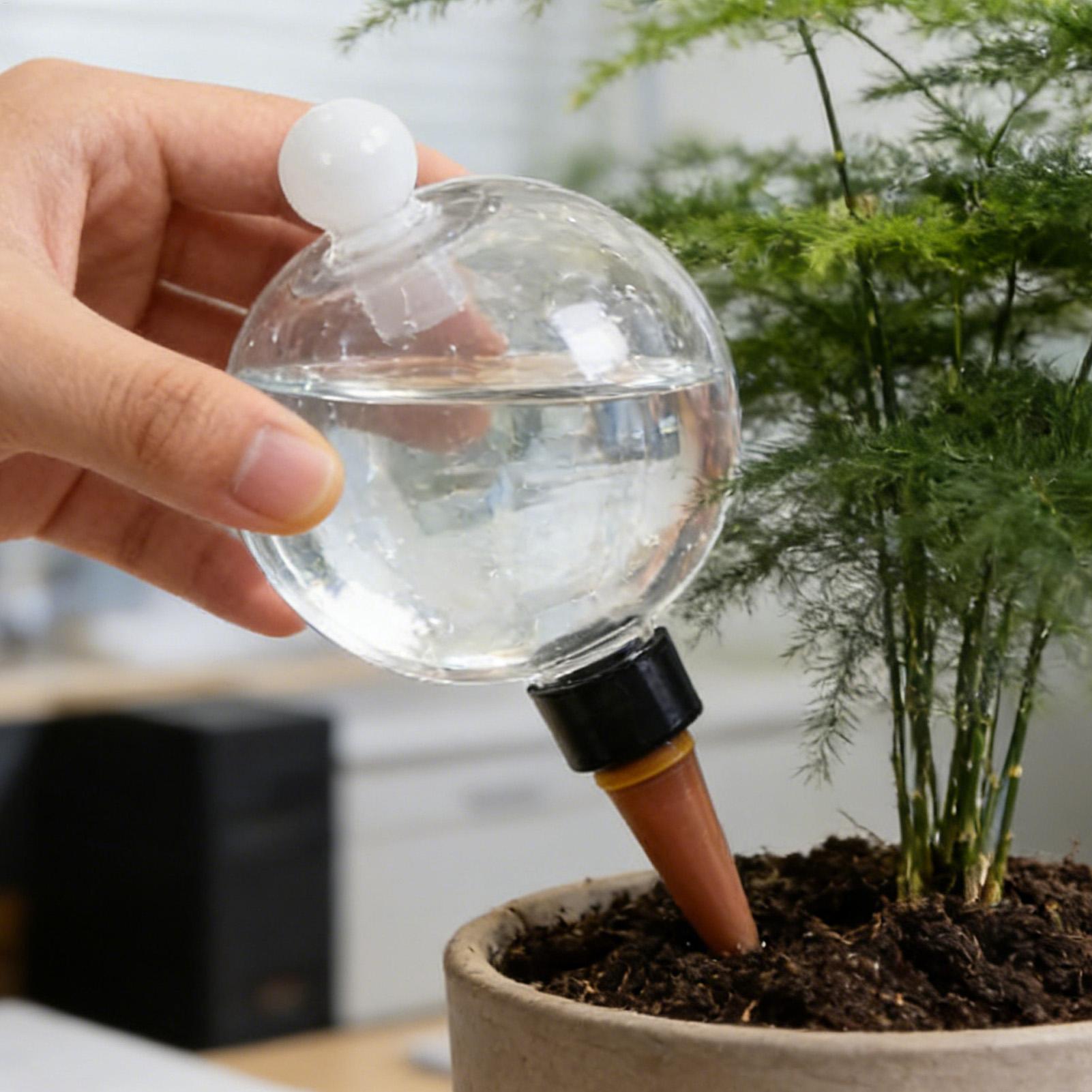 植物散水用ボール 4個入り 500ml 透明自動給水グローブ - Automatic Plant Waterer のレビューと価格