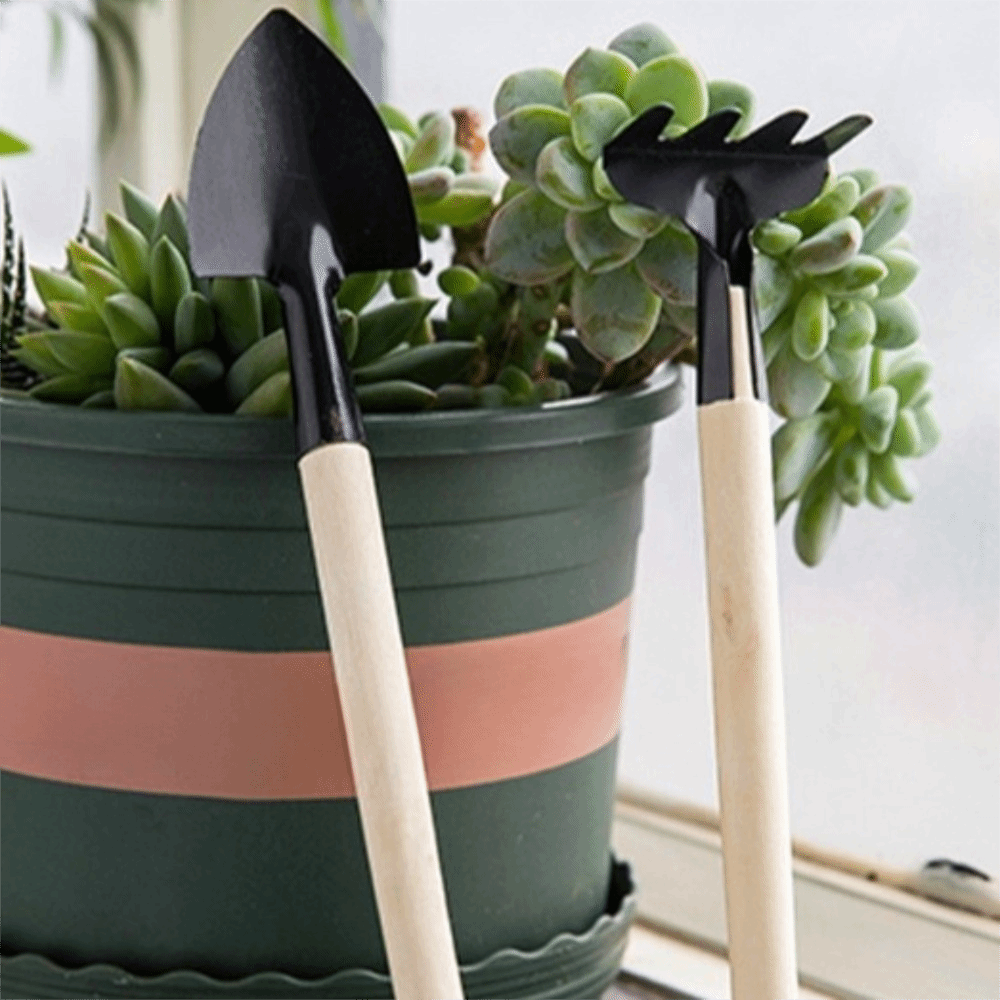 多機能ミニガーデン植栽ツールセット木製ハンドル頑丈な園芸用手 - Spade Digging Fork のレビューと価格
