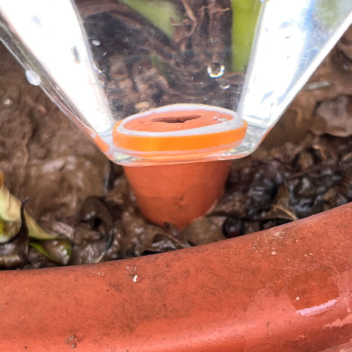 1個入り 可愛いプラスチック製自動給水器 室内/屋外植物用自 - Automatic Plant Waterer のレビューと価格