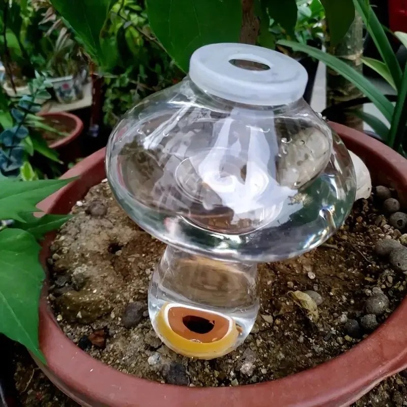 自動植物給水器 水滴灌漑 花植物用装置 点滴水浸透スプレーヤ - Automatic Plant Waterer のレビューと価格